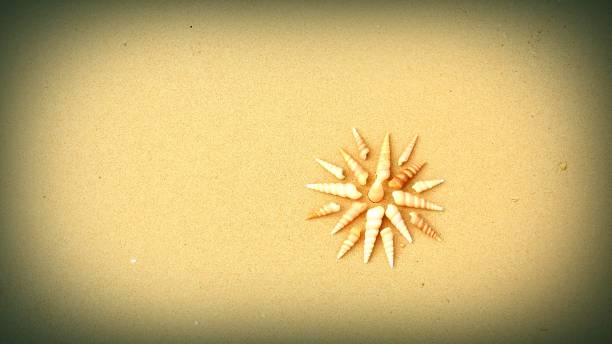 istock Beach of Thailand 869405014