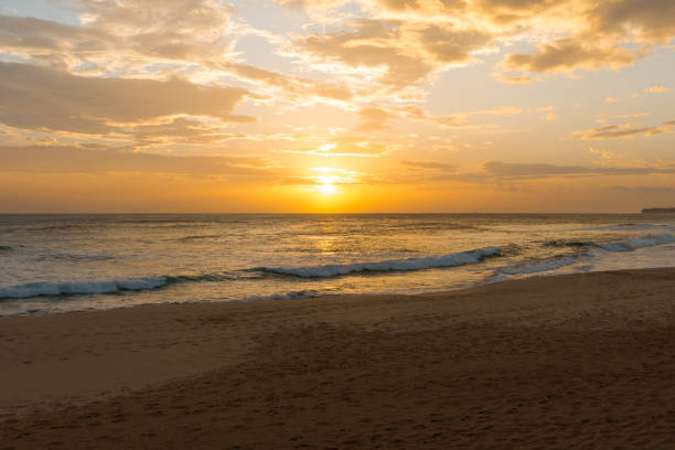 istock sunset on the Indian Ocean coast 869409678