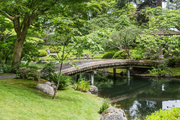 istock Bridge Over Green Pond in Garden 869411836