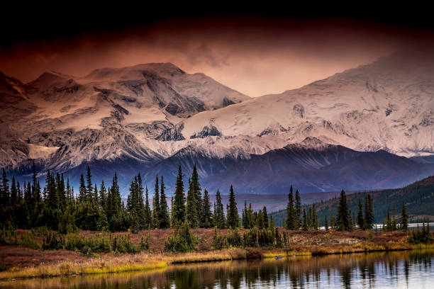 istock Alaska Denali National park 869419402