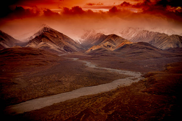 istock Alaska Denali National park 869419722