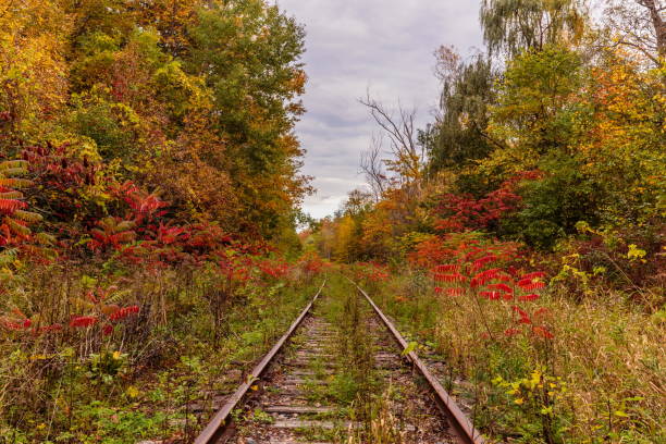 istock Off the beaten track in Hudson Quebec Canada. 869419882