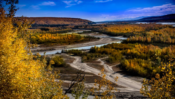 istock Alaska Denali National park for Alaska landscape 869420478