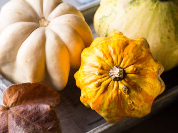 istock Autumn background with pumpkins on tray 869422912