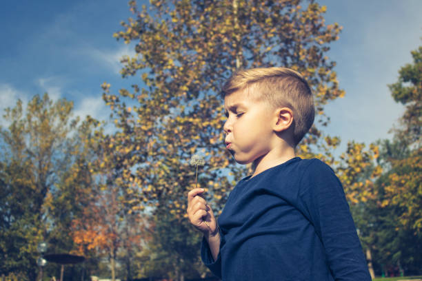 istock Child blowing dandelion in the park. 869423084