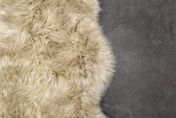 istock Sheep fur Sheepskin rug background stone texture 869426584