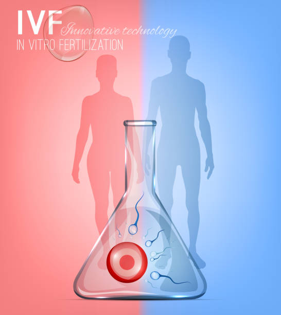 illustrazioni stock, clip art, cartoni animati e icone di tendenza di immagine di fecondazione in vitro - human sperm pregnancy test artificial insemination human pregnancy