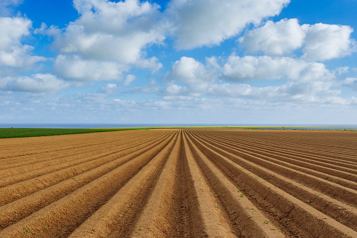 Plowed agricultural fields prepared for planting crops in Normandy, France. Countryside landscape with cloudy sky, farmlands in spring. Environment friendly farming and industrial agriculture concept