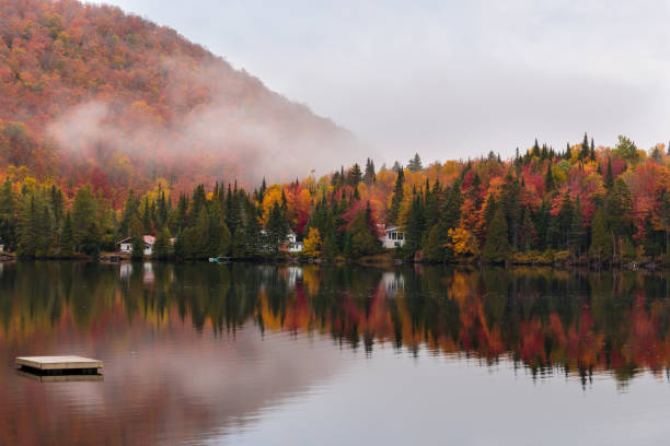istock Autumn leaf fall landscape on a dreary dull day in north Quebec, Canada. 869437350