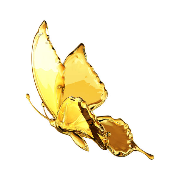 istock Oil Butterfly Isolated 869441474