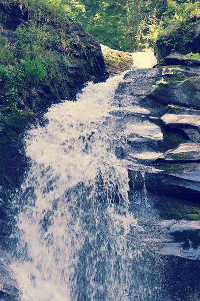 istock forest mountain waterfall in the woods 869444444