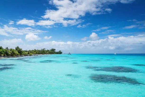 Beautiful turquoise blue lagoon, white sandy beaches surrounded with palm trees under blue summer sky. UNESCO Nature Biosphere Reserve. Fakarava Atoll, Tuamotu Islands Archipelago, French Polynesia