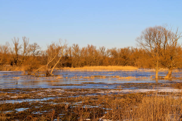 istock Snow melting on the meadow 869459924