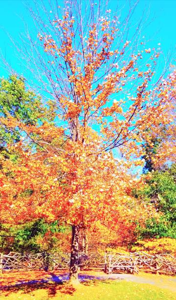 istock The Hudson river valley in Autumn 869459954
