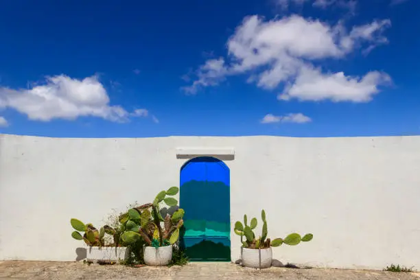 The gate of heaven. Color door with cactus and the traditional white wall.