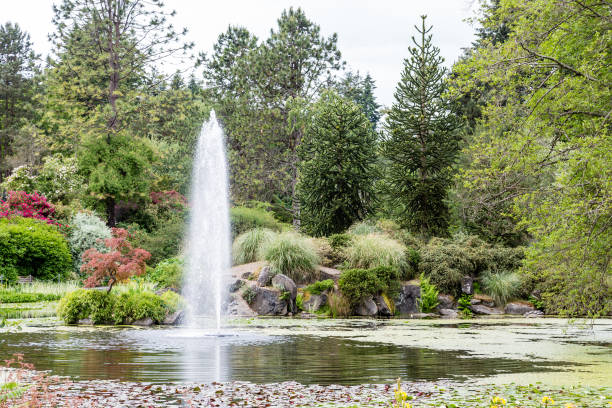 istock Lake Fountain in Vancouver 869462726