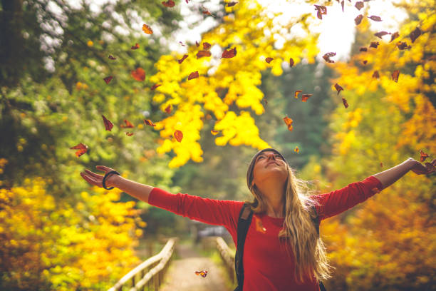 Autumn is my favorite season Playful young hiker throwing autumn leaves in the air in the colorful forest and embracing the nature beautiful multi colored tranquil scene enjoyment stock pictures, royalty-free photos & images