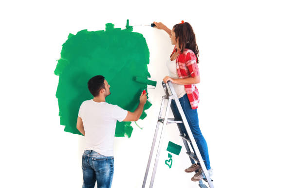 飾ります。 - female house painter home decorator paintbrush ストックフォトと画像