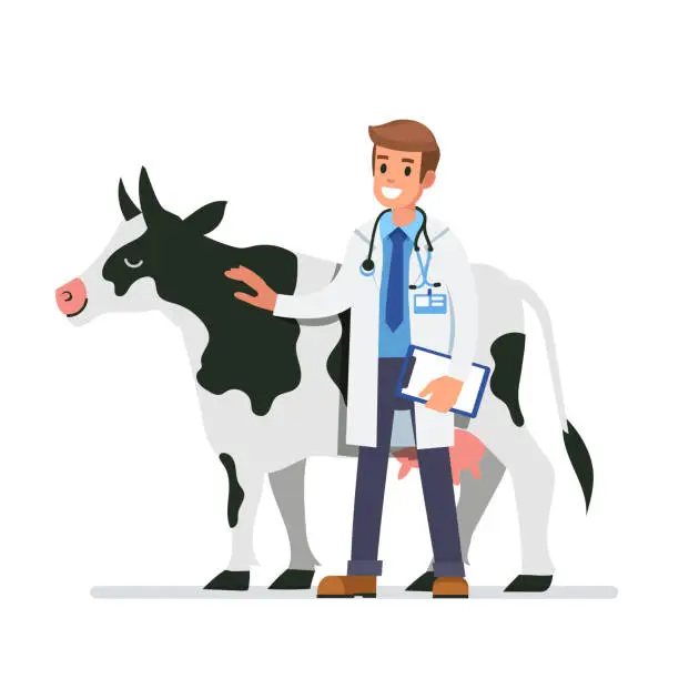 Vector illustration of cow veterinarian