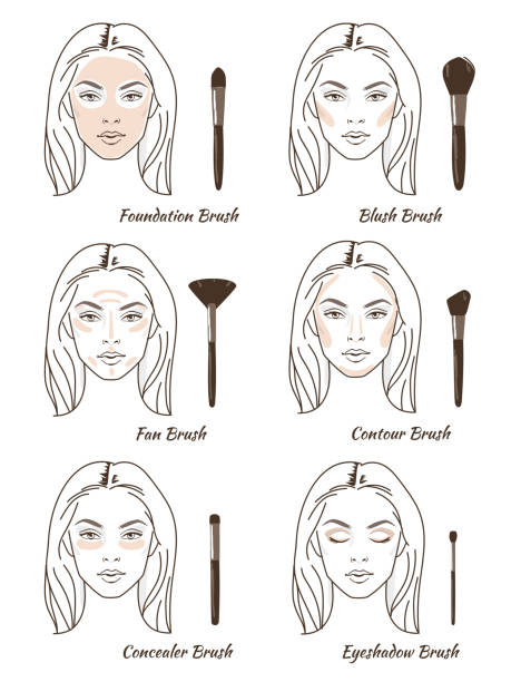 illustrations, cliparts, dessins animés et icônes de pinceau à maquillage - make up makeup artist make up brush applying