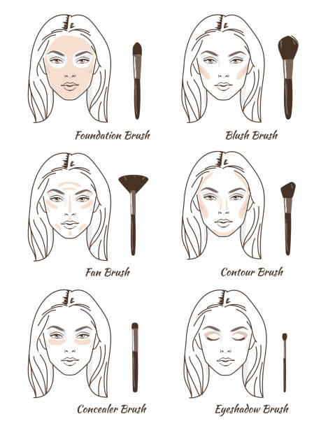make up brush Steps how to use different make up brushes. Line style vector illustration isolated on white background. women beauty hair dye stock illustrations