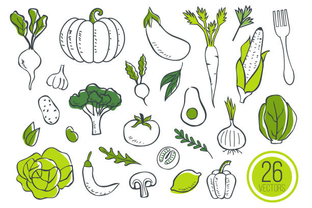 gemüse  - salad vegetable pumpkin broccoli stock-grafiken, -clipart, -cartoons und -symbole