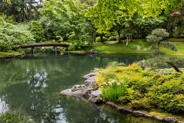istock Sculpted Japanese Garden Around Green Pond 869489212