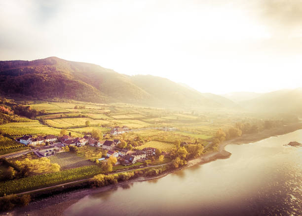 mitterarnsdorf e bacharnsdorf em wachau - danube river fotos - fotografias e filmes do acervo