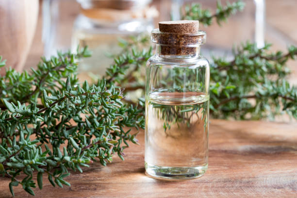 istock A bottle of thyme essential oil 869492442