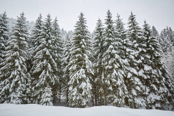 istock Winter landscape in the mountains 869495990