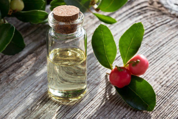 istock A bottle of wintergreen essential oil 869496896