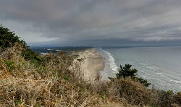 istock overlooking beach Coastel View with Pcific Ocean in Oregon Unite 869496976