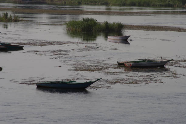 istock Boats on the Nile 869502656