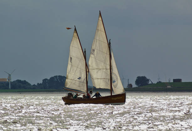 Bremerhaven, Germany - September 8th, 2012 - Classic sailing yacht ""Vegefeuer"" on the river Weser Bremerhaven, Germany - September 8th, 2012 - Classic sailing yacht "Vegefeuer" on the river Weser gaff rigged stock pictures, royalty-free photos & images