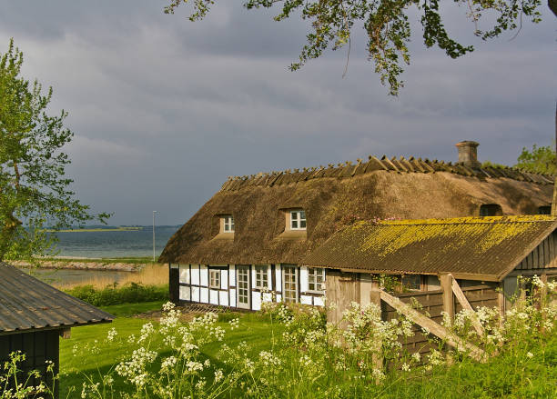 lyo, dinamarca - 04 de julio de 2012 - granja tradicional de entramado de madera con techo de paja danesa en la isla de lyo, en el báltico - denmark house cottage rural scene fotografías e imágenes de stock