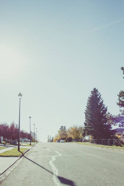 istock Neighbourhood street 869506142