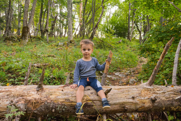 istock The boy in the woods sitting on a tree 869516908