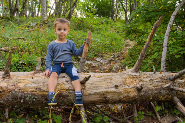 istock The boy in the woods sitting on a tree 869517444