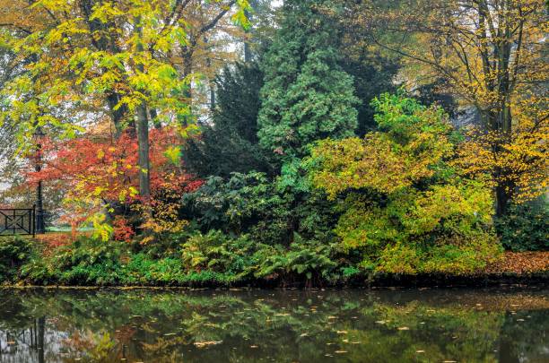 istock Autumn colorful landscape. 869520304
