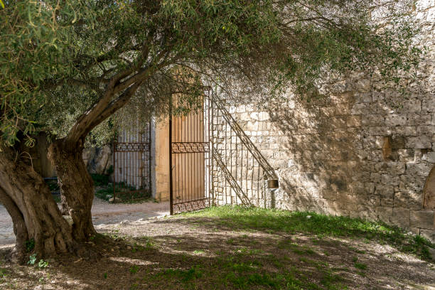 Noto Castle Ruins Noto Castle, locally known as Castello di Noto or Castello Reale ruins. stonewall creek stock pictures, royalty-free photos & images