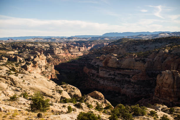 istock Dixie National Forest in Southern Utah 869524784