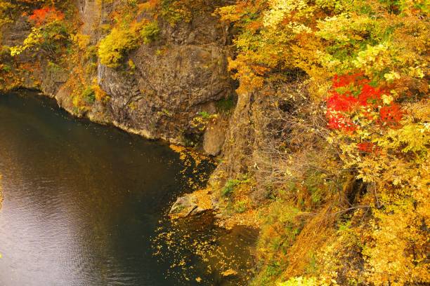 istock Land autumn hot spring Jozankei hot spring 869534280