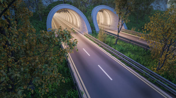istock Tunnels and Empty Roads with Trees and Plants 869538970