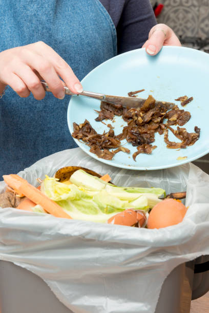 istock Leftover Food from Plate Thrown into Waste Bin 869545504