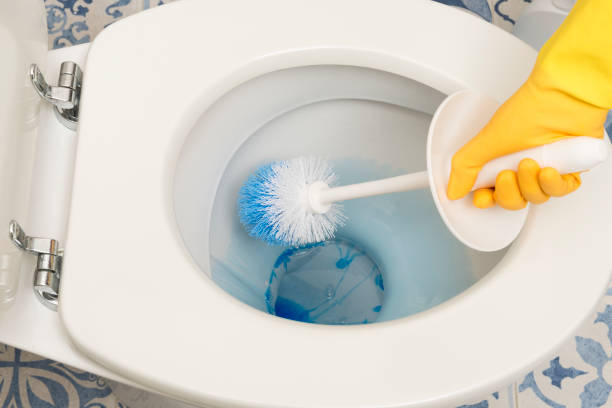 istock Hand Brushing Lavatory with Blue Detergent Dissolving in Water 869547874