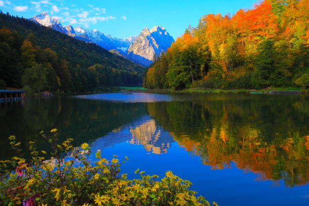 Riessersee alpine turquoise lake with reflection at gold colored sunrise, with Zugspitze, Waxenstein and Alpspitze view– dramatic landscape in Bavarian alps, Germany - Majestic alpine landscape in autumn, Snowcapped mountains – Garmisch, Bavaria, Germany lago alpino de turquesa riessersee, con reflejo al amanecer color oro, con el zugspitze, waxenstein y alpspitze vista espectacular paisaje en los alpes bávaros, alemania - majestuoso paisaje alpino en las montañas nevadas, otoño – garmisch, baviera, alemania