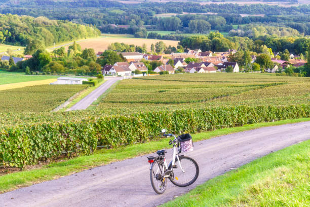 bicycle on the road on row vine green grape in champagne vineyards at montagne de reims countryside village background, france - montagne sol imagens e fotografias de stock