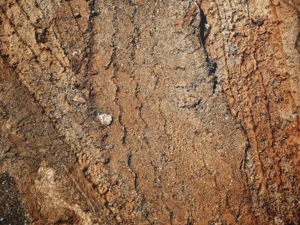 Wheel tracks on the soil