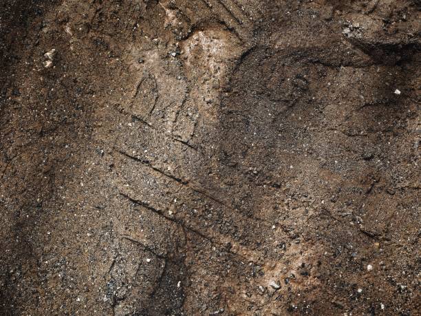 istock Wheel tracks on the soil 869566774