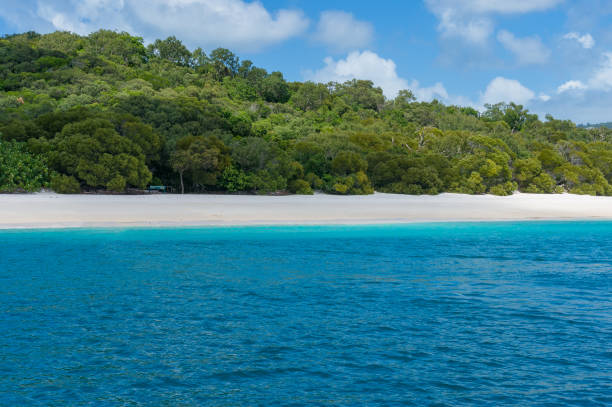 istock Australian famous Whitehaven beach with silica white sand and turquoise waters 869570930